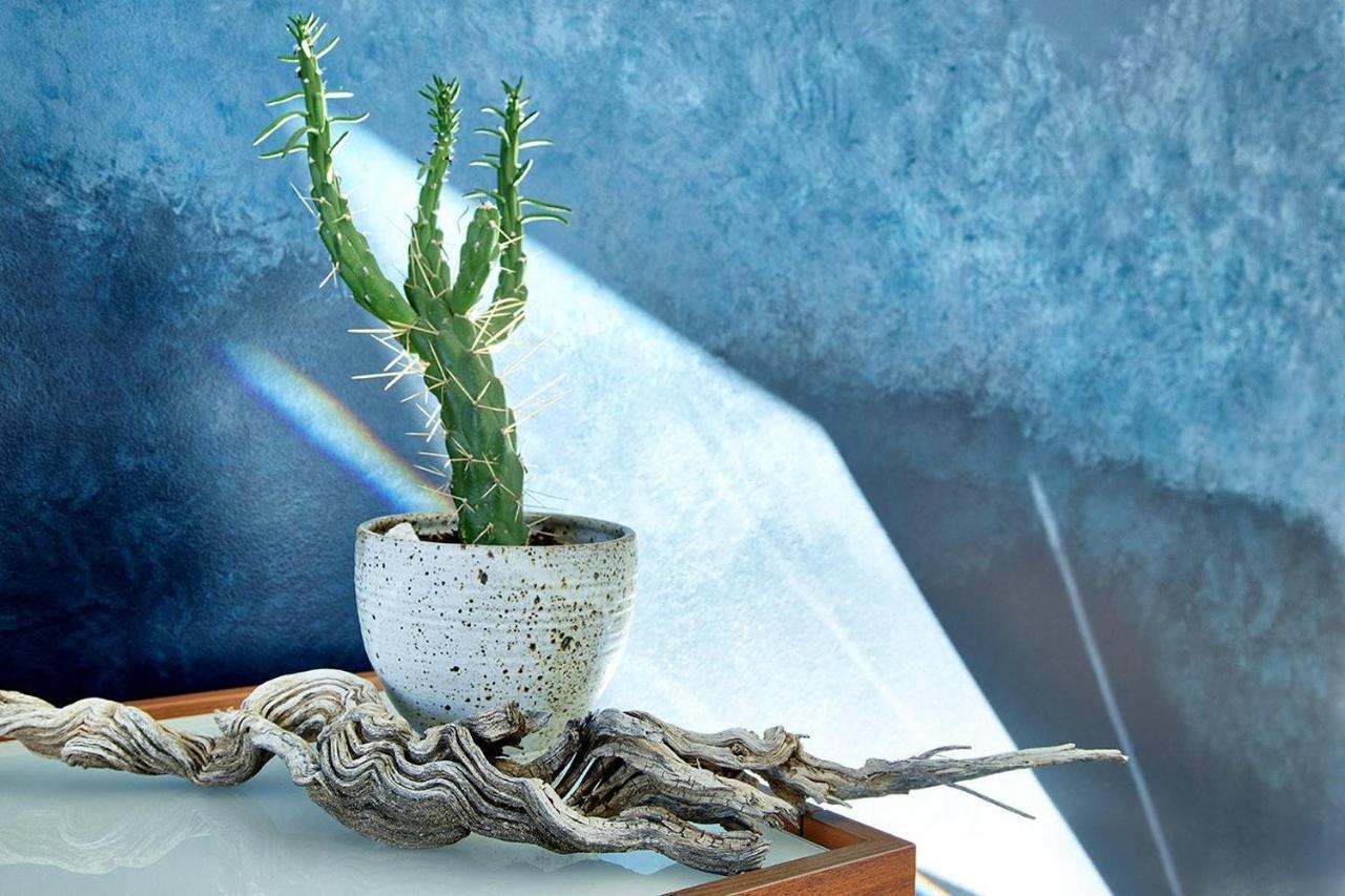 Villa Skyhouse à Joshua Tree Extérieur photo